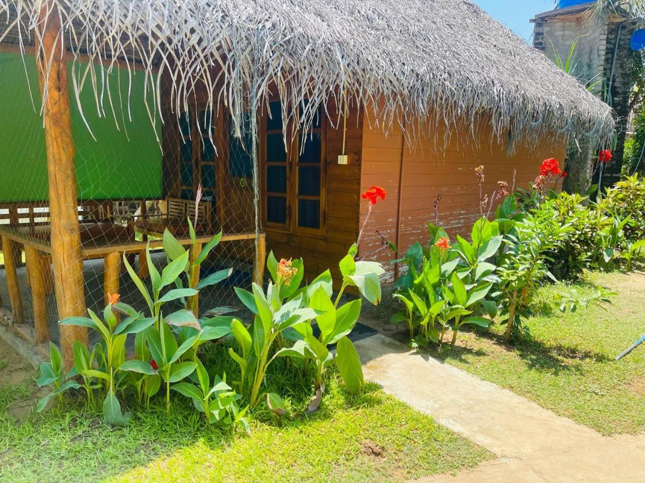 Vitamin Sea Beach Cabana & Hostel Nilaveli Extérieur photo